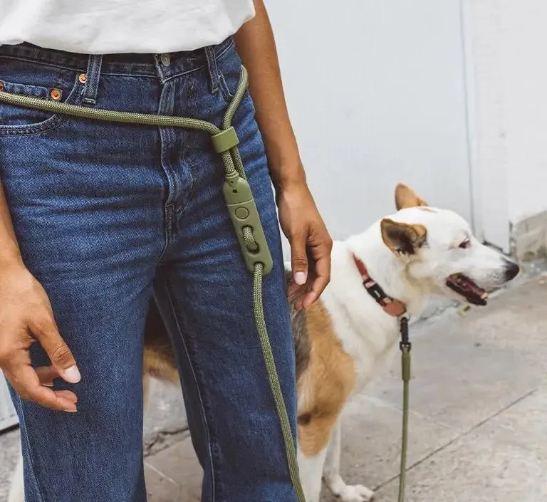 Hands-Free Leash